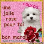 ᐅ bonjour bon mardi bisous - Mardi images gratuites