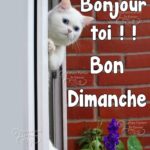 ᐅ bonjour dimanche image - Mai images gratuites