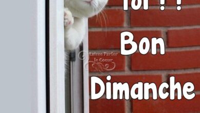 ᐅ bonjour dimanche image - Bonjour images gratuites