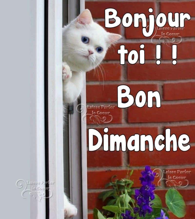 ᐅ bonjour dimanche image - bonjour dimanche image images gratuites