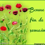 ᐅ bonne fin de semaine - Bonne semaine images gratuites