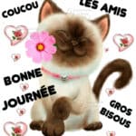 ᐅ bonne journée bisous - Bonne journée images gratuites
