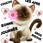 ᐅ bonne journée bisous - Bonne journée images gratuites