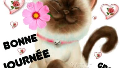 ᐅ bonne journée bisous - Bonne journée images gratuites