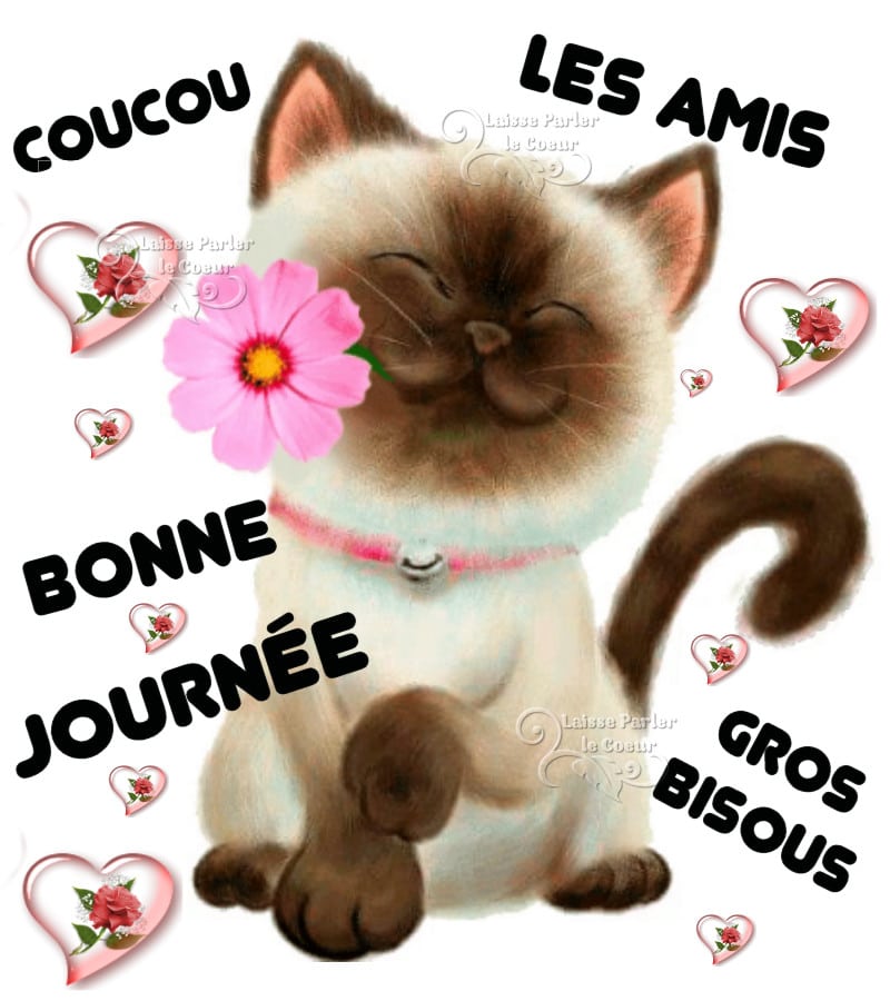 ᐅ bonne journée bisous - Vendredi images gratuites
