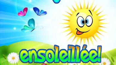 ᐅ bonne journée ensoleillée - Bonne journée images gratuites