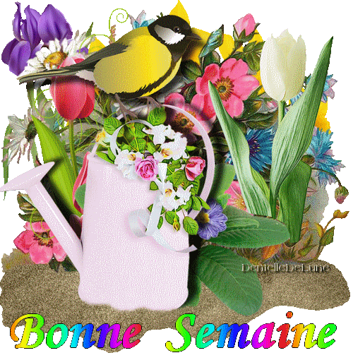 ᐅ bonne semaine gif gratuit animé - Bonne semaine images gratuites ᐅ bonne semaine gif gratuit animé - Bonne semaine images gratuites