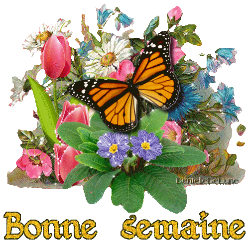 ᐅ bonne semaine gif gratuit animé - Bonne semaine images gratuites ᐅ bonne semaine gif gratuit animé - Bonne semaine images gratuites