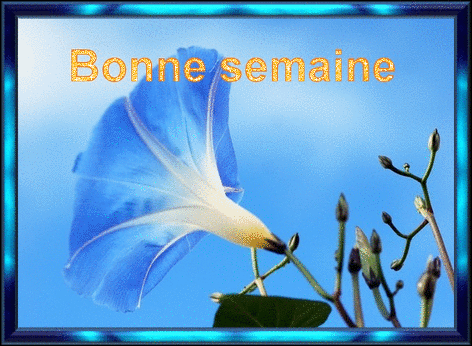 ᐅ bonne semaine gif gratuit animé - Bonne semaine images gratuites ᐅ bonne semaine gif gratuit animé - Bonne semaine images gratuites