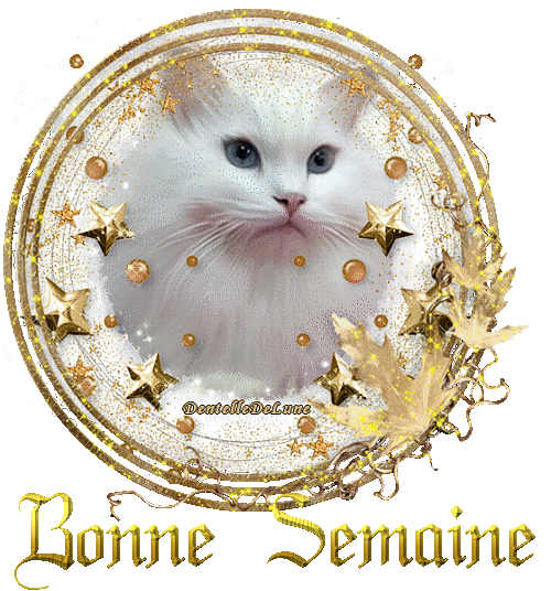 ᐅ bonne semaine gif gratuit animé - Bonne semaine images gratuites ᐅ bonne semaine gif gratuit animé - Bonne semaine images gratuites