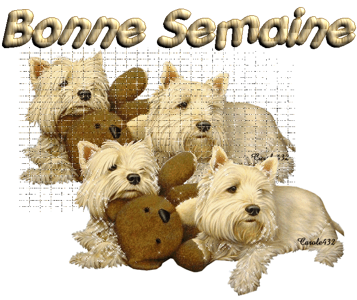 ᐅ bonne semaine gif gratuit animé - Bonne semaine images gratuites ᐅ bonne semaine gif gratuit animé - Bonne semaine images gratuites