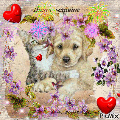 ᐅ bonne semaine gif gratuit animé - Bonne semaine images gratuites ᐅ bonne semaine gif gratuit animé - Bonne semaine images gratuites