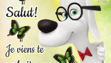 ᐅ bonne semaine humour - Bonne semaine images gratuites