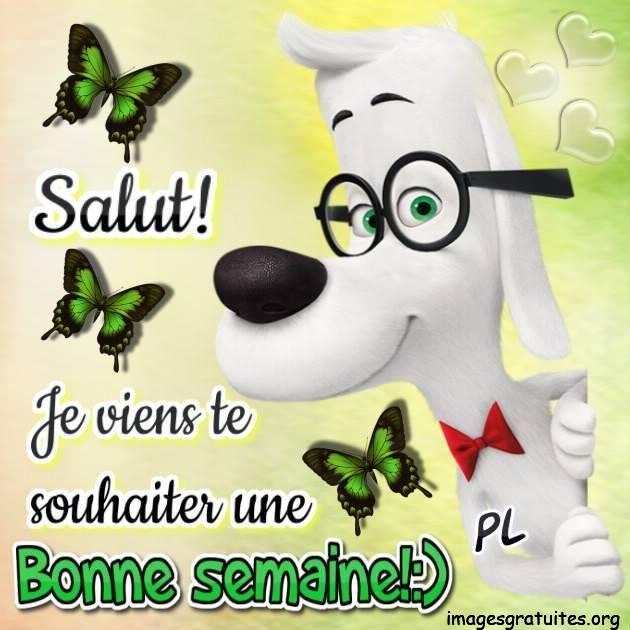 ᐅ bonne semaine humour - bonne semaine humour images gratuites