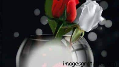 ᐅ bonne soirée - Bonne soirée images gratuites