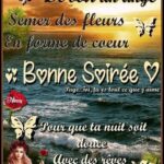 ᐅ bonne soirée et bon week end - Samedi images gratuites