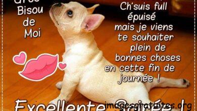 ᐅ bonne soirée humour - Bonne soirée images gratuites