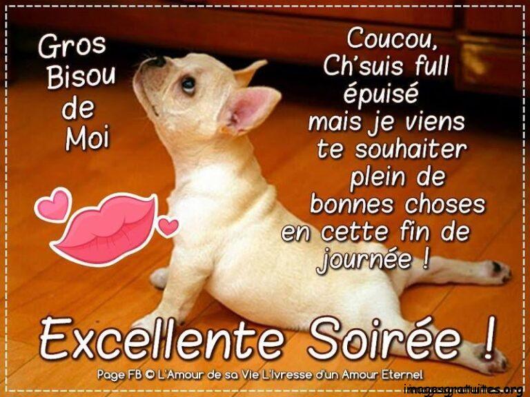 bonne soirée humour