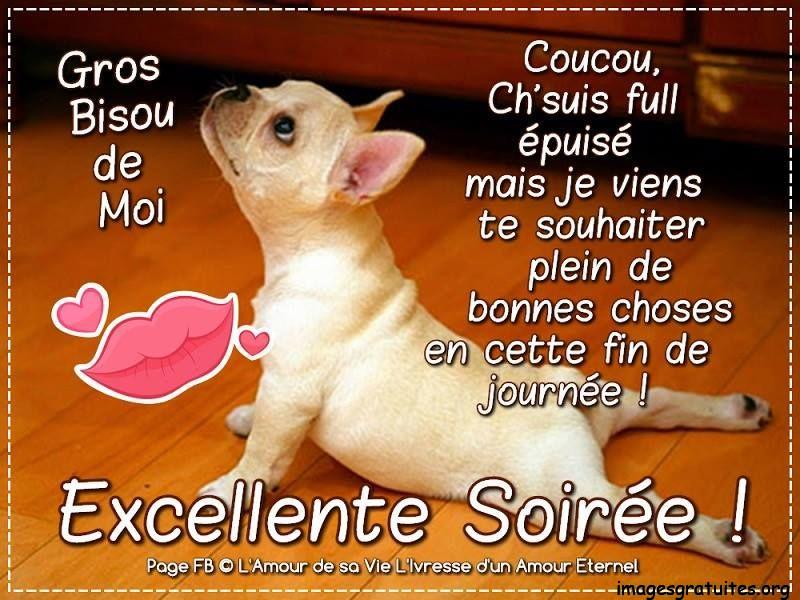 ᐅ bonne soirée humour - Bonne soirée images gratuites