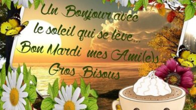 ᐅ citation bon mardi - Mardi images gratuites