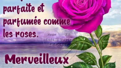 ᐅ citation positif bon mardi - Mardi images gratuites