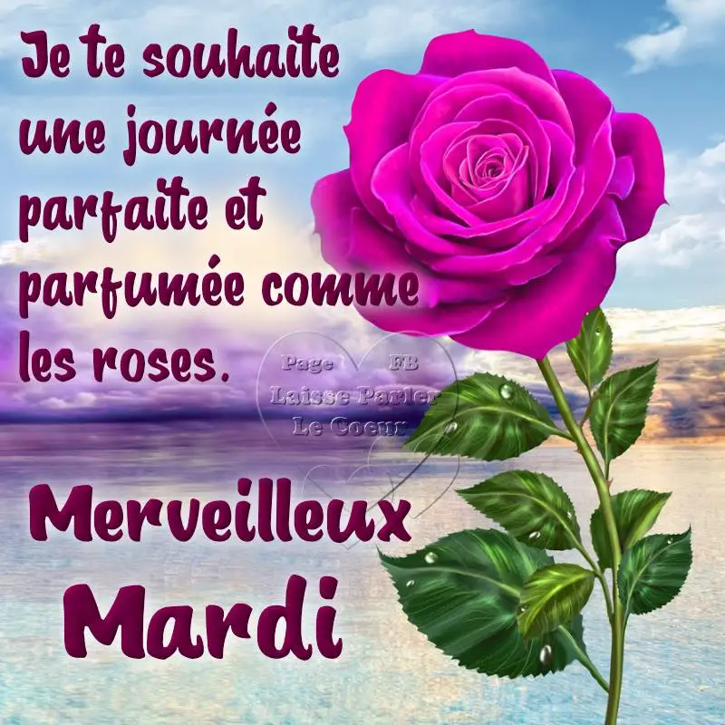 ᐅ citation positif bon mardi - Mardi images gratuites