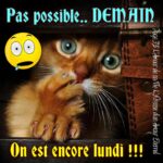ᐅ Demain c'est lundi Images - Noël images gratuites