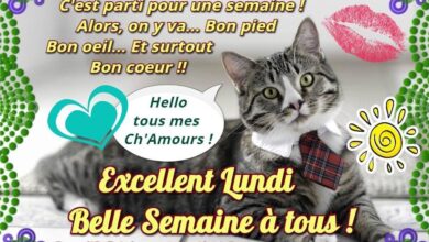 ᐅ excellent bon lundi et bonne semaine - Lundi images gratuites