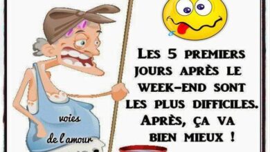 ᐅ humoristique bon lundi et bonne semaine humour - Lundi images gratuites