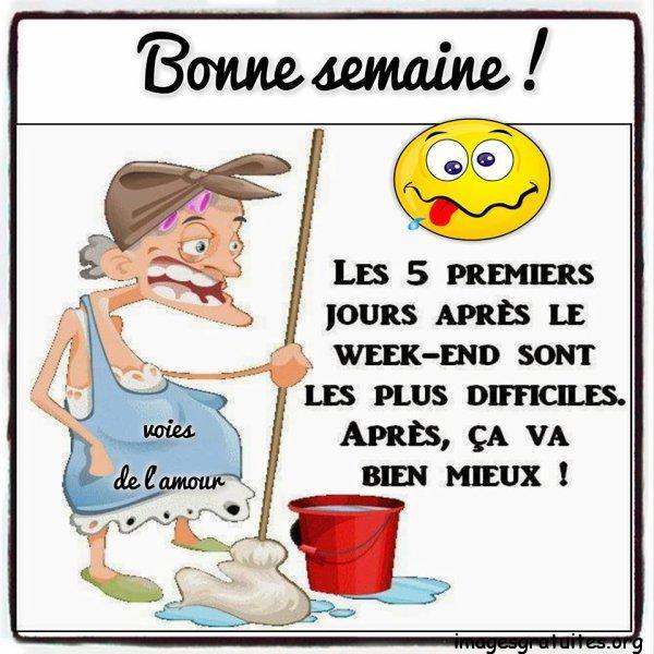 ᐅ humoristique bon lundi et bonne semaine humour - Lundi -  imagesgratuites.org