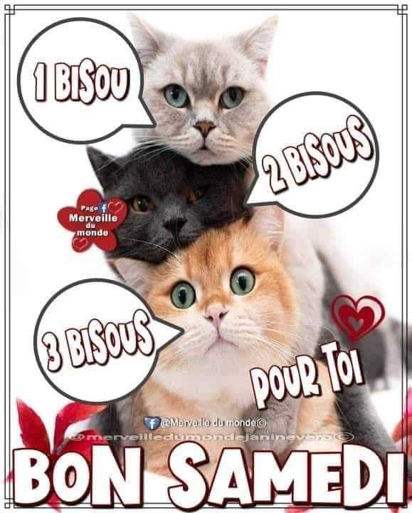 ᐅ humoristique bon samedi - Vendredi images gratuites