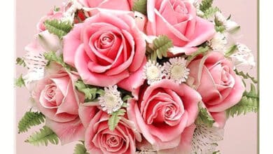 ᐅ image bon anniversaire femme - Anniversaire images gratuites
