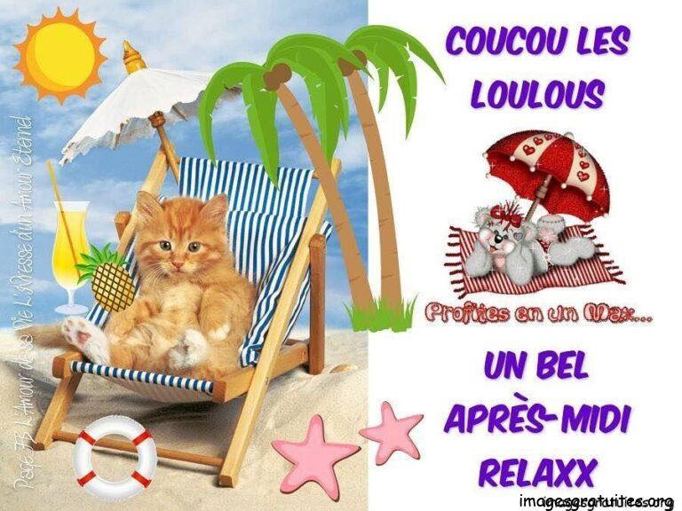 image bon après midi humour