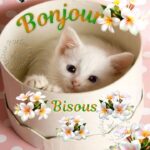 ᐅ image bonjour bisous - Bonjour images gratuites