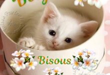 ᐅ image bonjour bisous - Mardi images gratuites