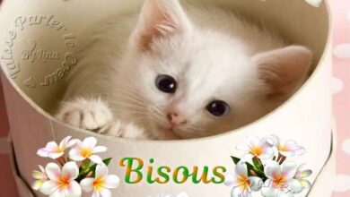 ᐅ image bonjour bisous - Bonjour images gratuites