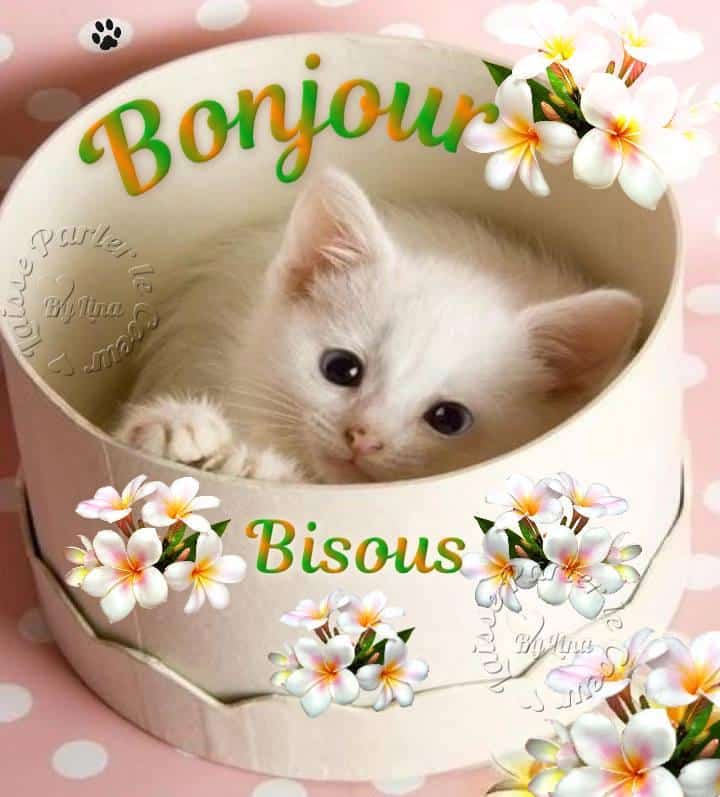 ᐅ image bonjour bisous - image bonjour bisous images gratuites