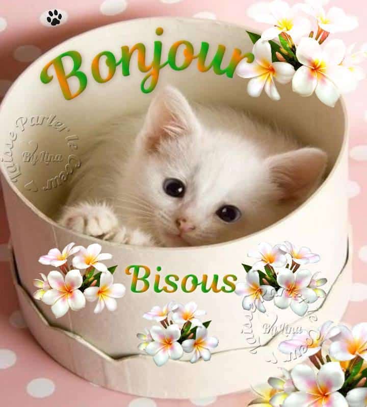 ᐅ image bonjour bisous - Bonjour images gratuites