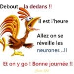 ᐅ image bonjour humour - Bonjour images gratuites