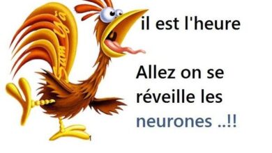 ᐅ image bonjour humour - Bonjour images gratuites