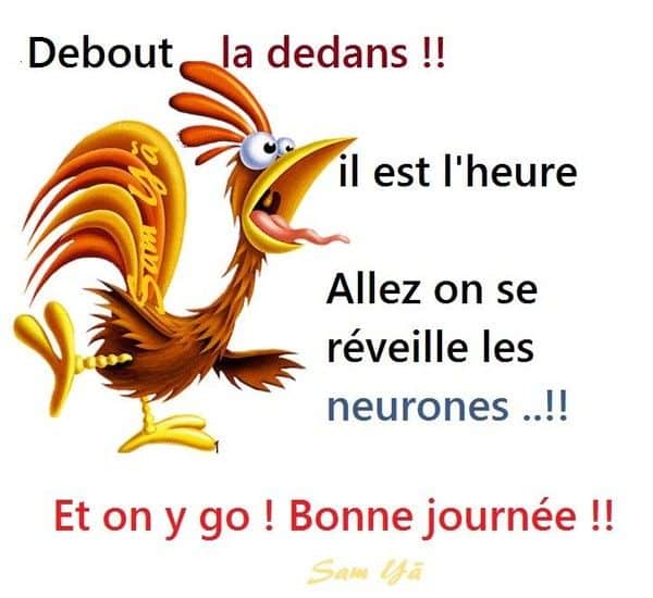 ᐅ image bonjour humour - Bonjour images gratuites