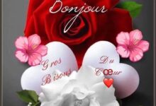 ᐅ image bonjour mon coeur - Mardi images gratuites