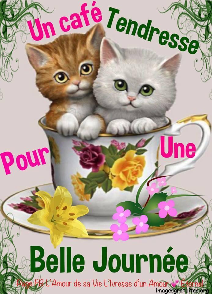ᐅ image bonne journée gratuite - Bonne nuit images gratuites