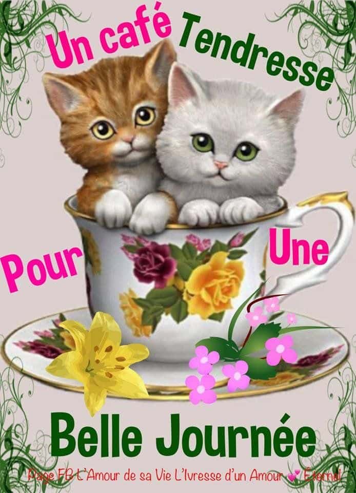 ᐅ image bonne journée tendresse - Bonne journée images gratuites ᐅ image bonne journée tendresse - Bonne journée images gratuites