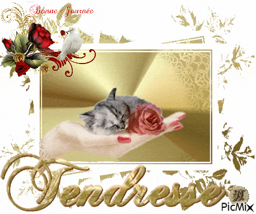 ᐅ image bonne journée tendresse - Bonne journée images gratuites ᐅ image bonne journée tendresse - Bonne journée images gratuites