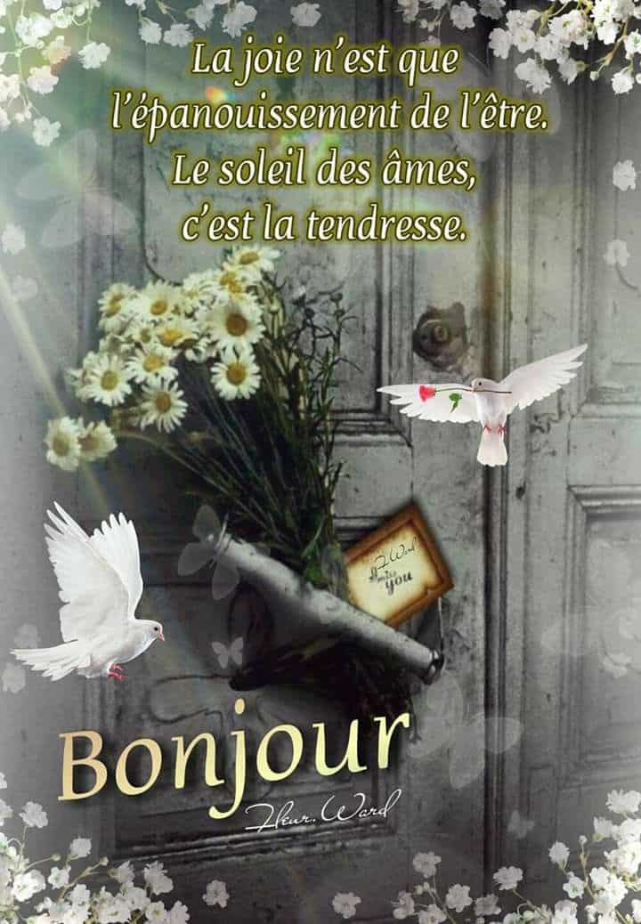 ᐅ image bonne journée tendresse - Bonne journée images gratuites ᐅ image bonne journée tendresse - Bonne journée images gratuites