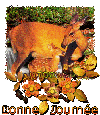 ᐅ image bonne journée tendresse - Bonne journée images gratuites ᐅ image bonne journée tendresse - Bonne journée images gratuites