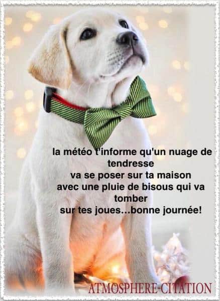 ᐅ image bonne journée tendresse - Bonne journée images gratuites ᐅ image bonne journée tendresse - Bonne journée images gratuites
