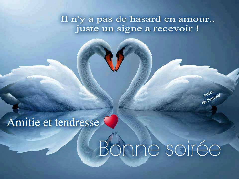 ᐅ image bonne journée tendresse - Bonne journée images gratuites ᐅ image bonne journée tendresse - Bonne journée images gratuites
