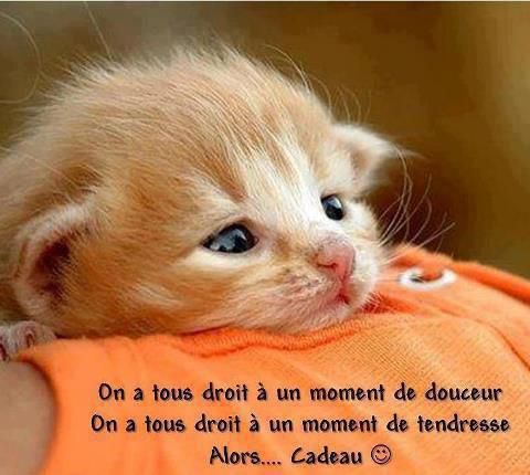 ᐅ image bonne journée tendresse - Bonne journée images gratuites ᐅ image bonne journée tendresse - Bonne journée images gratuites